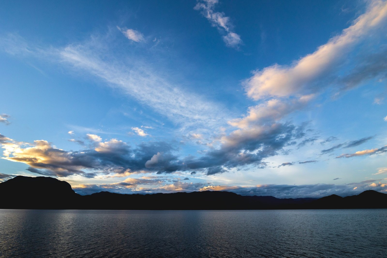 资源控制:恐怖作为资源控制手段的深层解析-The49