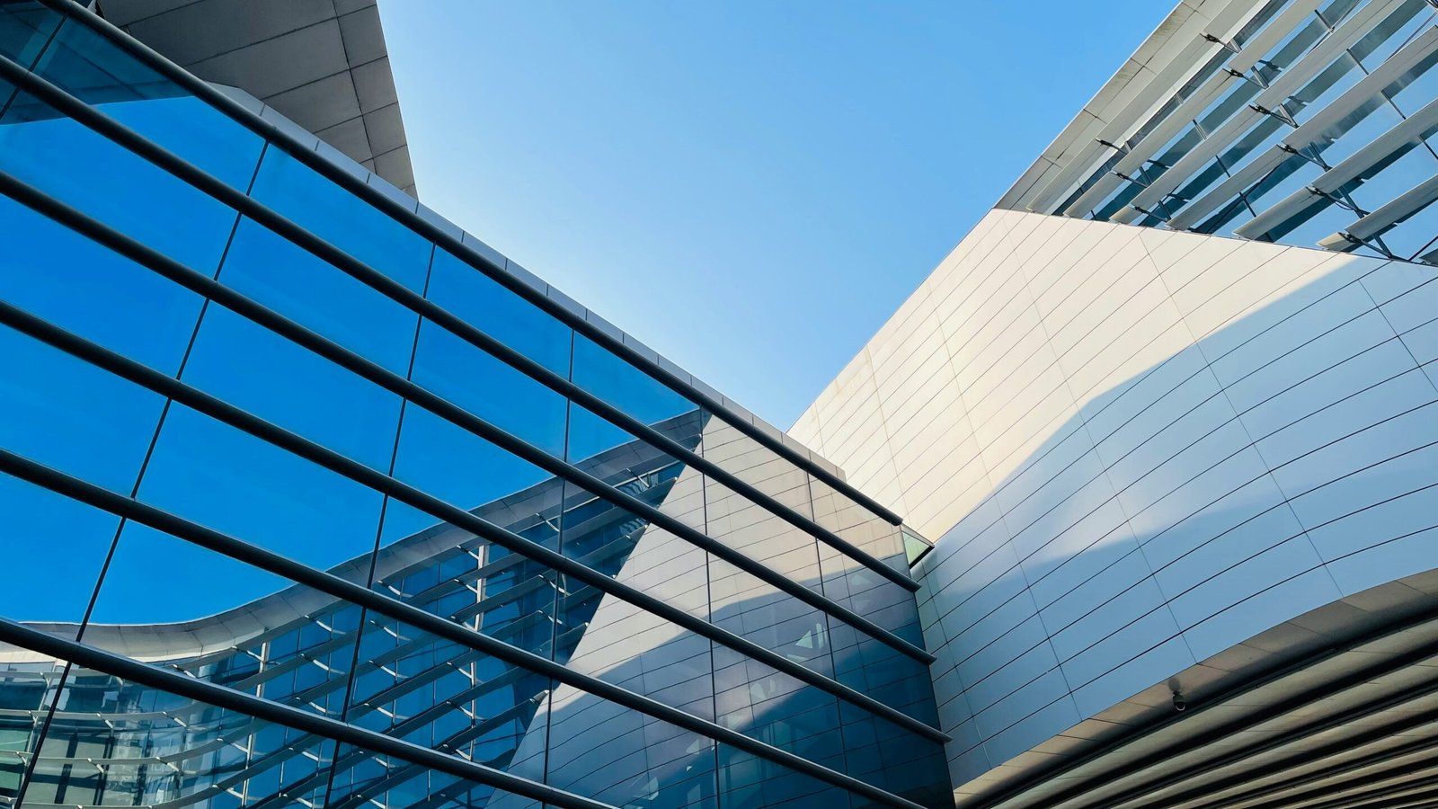 社会传统与习俗中的非理性因素探析-The49